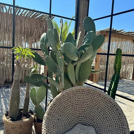 Appartement Heaven Infinity Sunset Pool & Năvodari