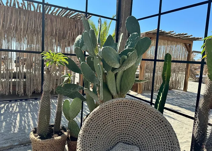 Appartement Heaven Infinity Sunset Pool & Năvodari