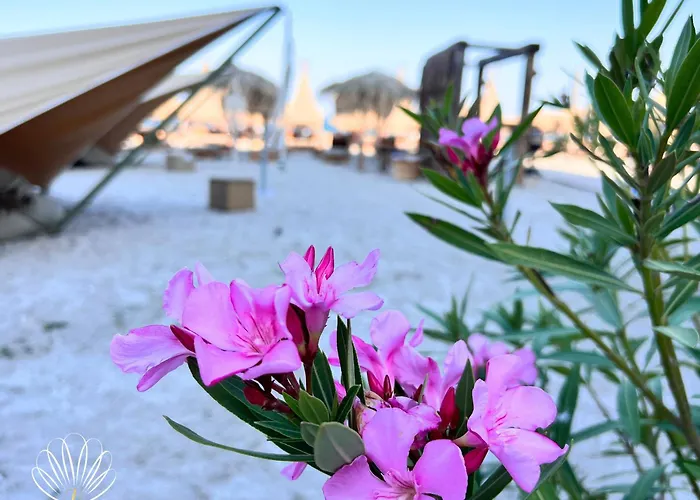 Heaven Infinity Sunset Pool & Apartment *